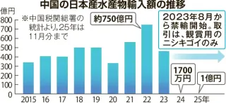 中国向けホタテ「門前払い」　11月に2年ぶり出荷　韓国の港に留め置き